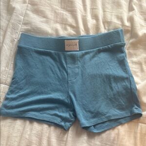 Urban Outfitters Blue Boyshort Panties